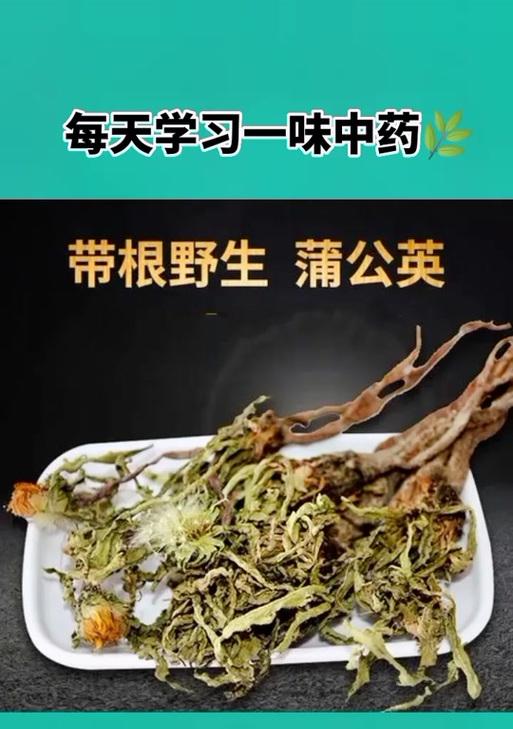 魔兽世界中未鉴定草药的鉴定方法是什么？鉴定草药有什么好处？