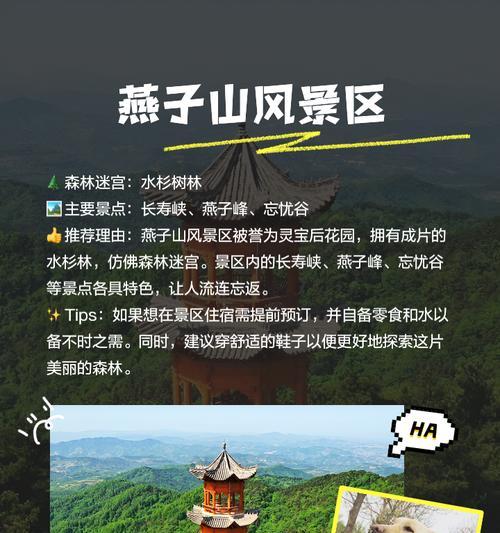 灵宝中哪个最值得拥有？如何选择最佳灵宝？