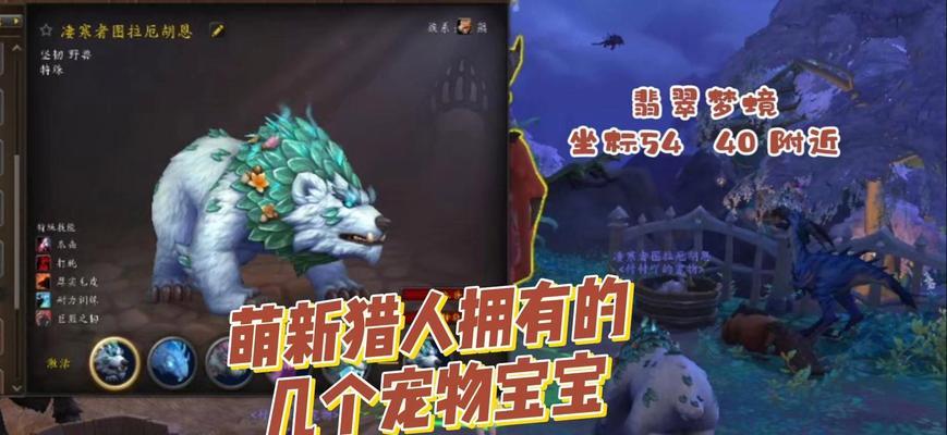 魔兽世界中宝宝的快速捕捉技巧是什么？