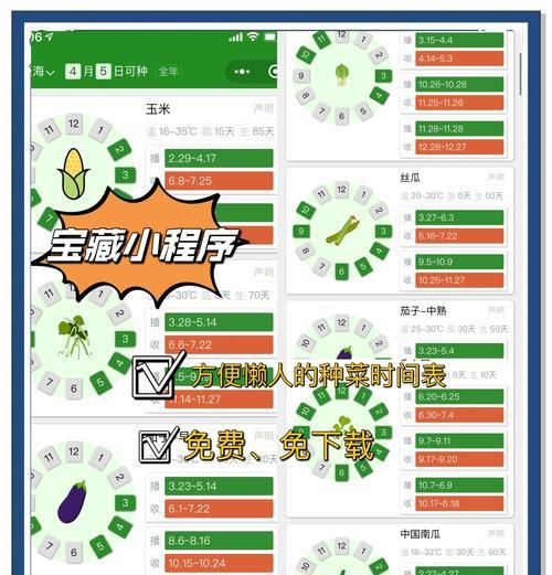 洛克王国定时种菜功能如何使用？