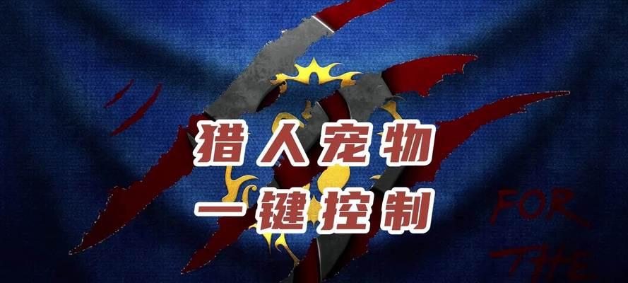 魔兽世界宠物宏使用方法是什么？