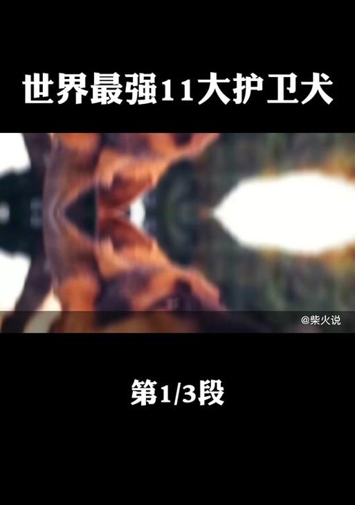 元素护卫晶簇在魔兽世界如何开启？开启后有何用？