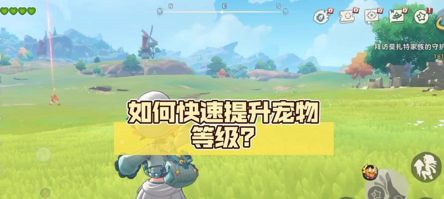 洛克王国快速升级技巧是什么？怎样迅速提升等级？