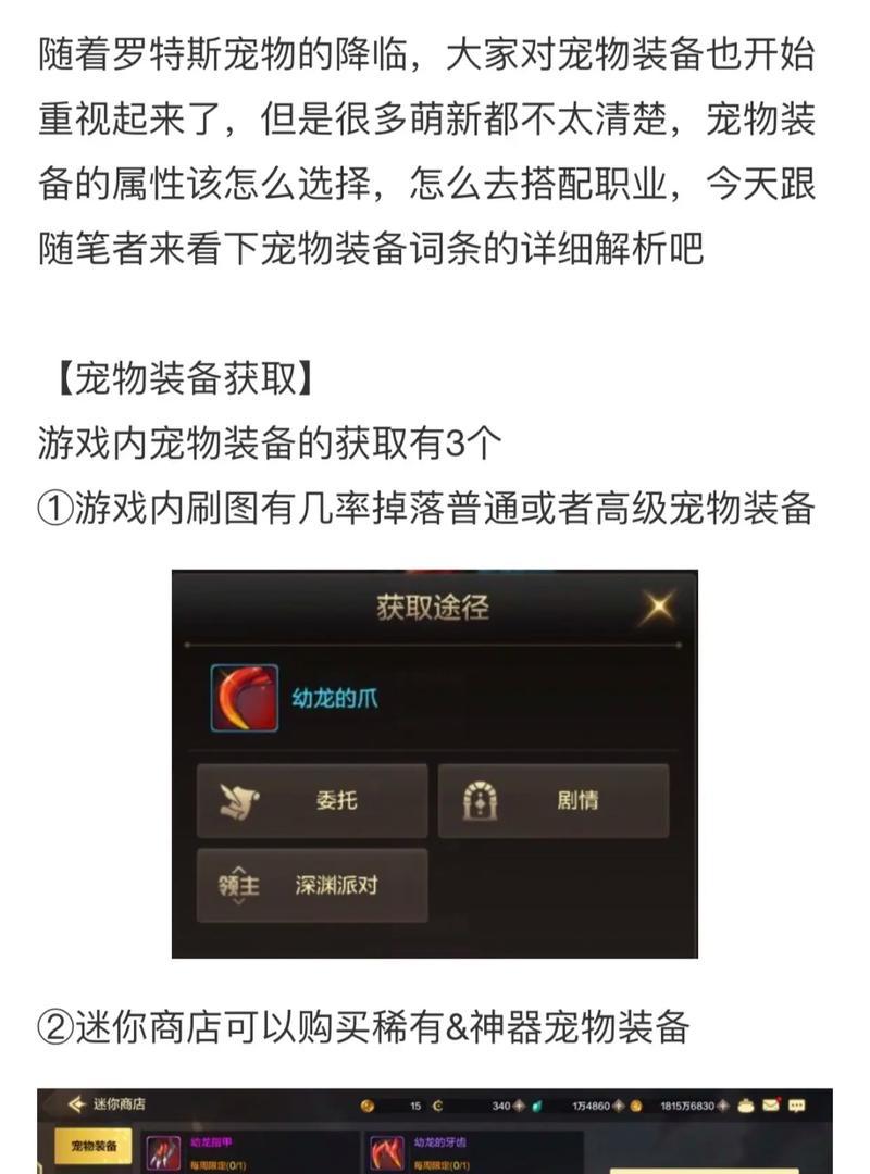 dnf宠物装备套装选择技巧是什么？如何搭配出最佳效果？