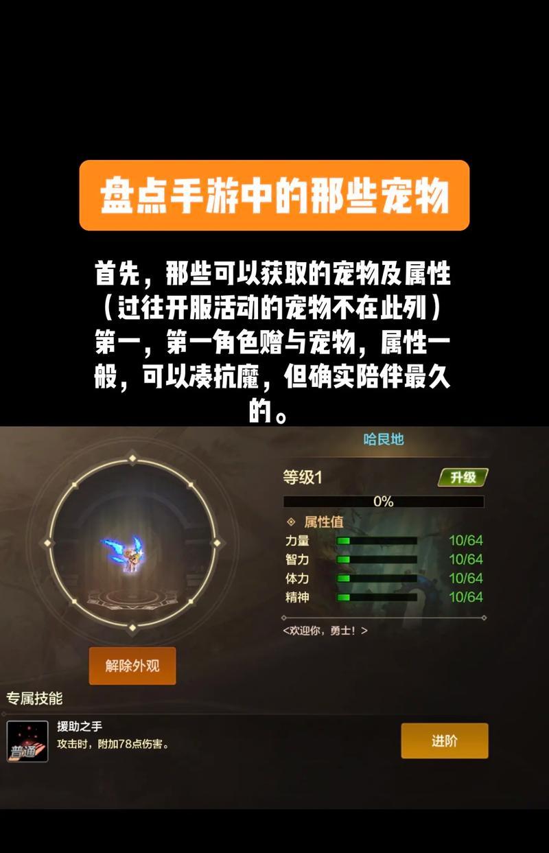 dnf宠物开启方法是什么？如何获得宠物？