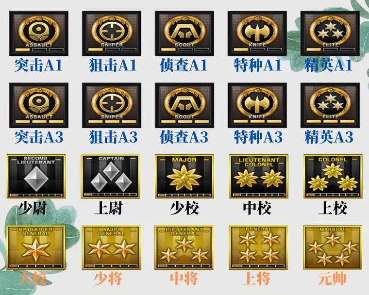 CF第六赛季的等级上限是多少？如何快速达到最高等级？