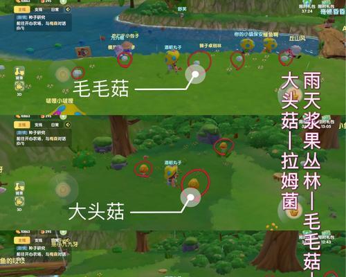 摩尔庄园滑翔伞使用方法是什么？如何正确操作？