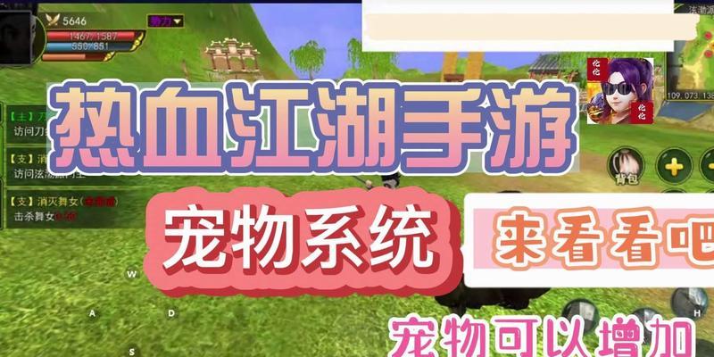热血江湖中宠物如何增加武功？